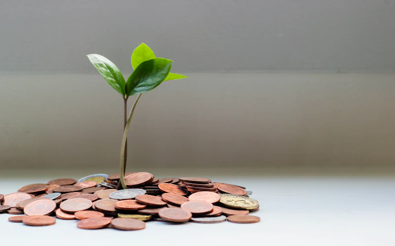 A seedling growing from a pile of coins